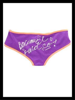 💕ⓅⒾⓃⓀ ⓋⓈ Vintage Extra LR Hipster Panties NWT💕